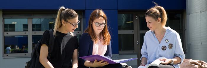 Students' brainstorming 